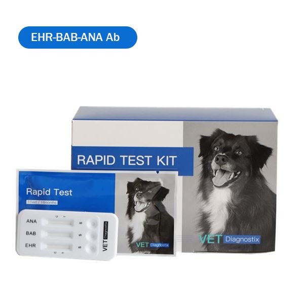 Ehrlichia-Babesia Gibsoni-Anaplasma Antikor Combo Testi