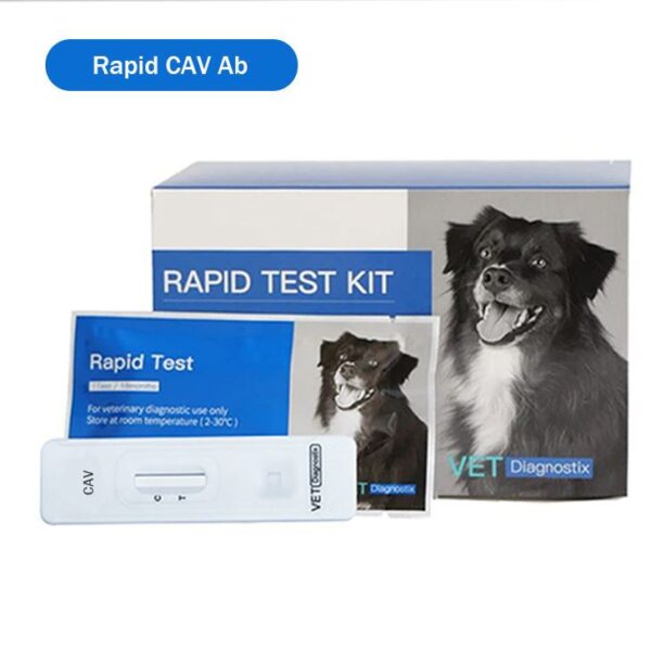 Köpek Adenovirüs Antikor Testi