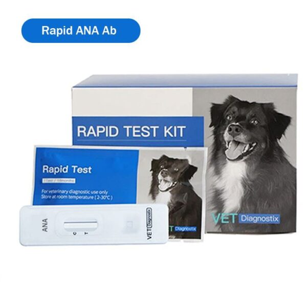 Köpek Anaplasma Antikor Testi