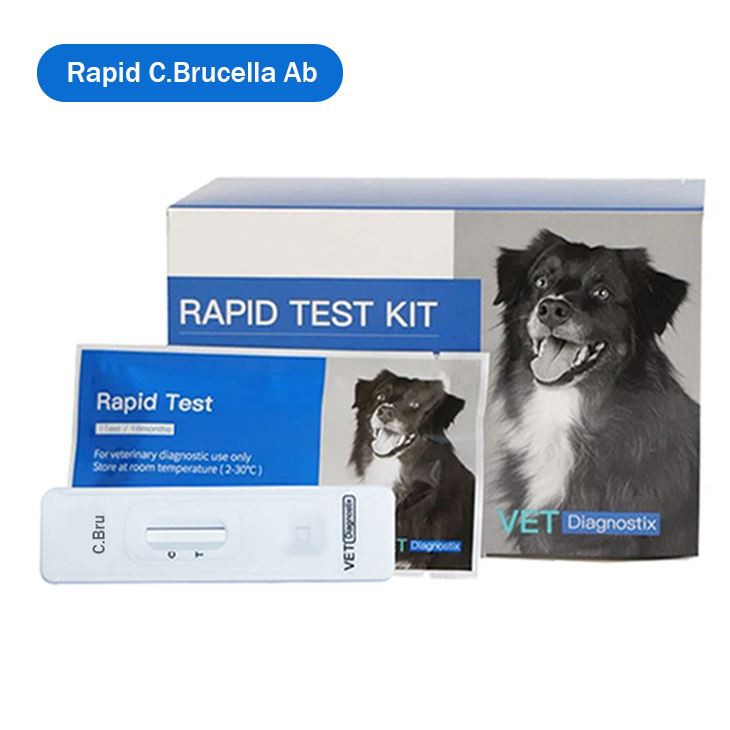 Köpek Brucella Canis Antikor Testi 2