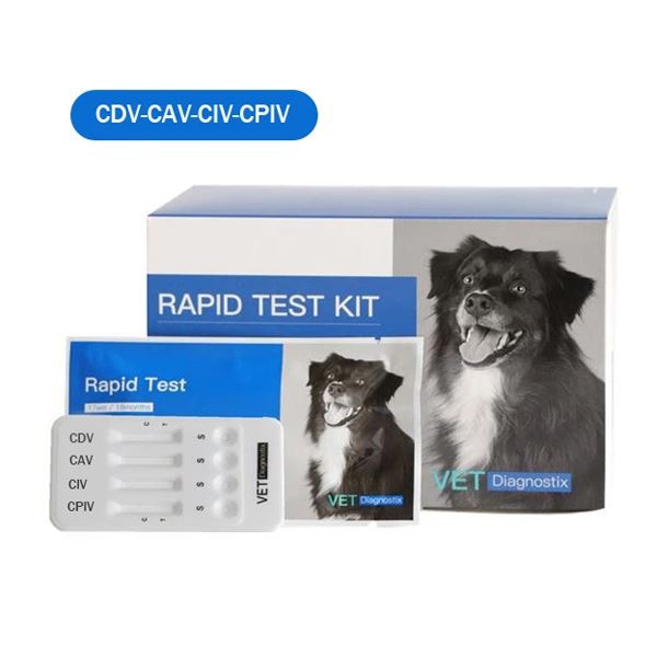 Köpek Distemper-Adeno-Influenza-Parainfluenza Virüsü Antijen Birleşik Testi 1
