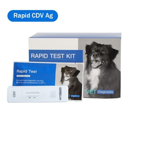 Köpek Distemper virüsü antijen testi