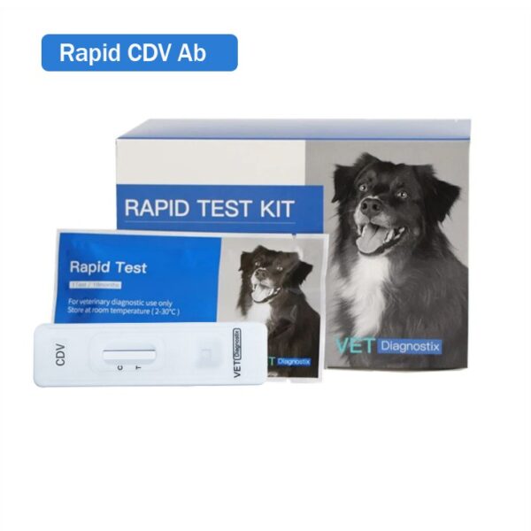 Köpek Distemper virüsü antikor testi