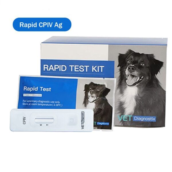 Köpek Parainfluenza virüsü antijen testi