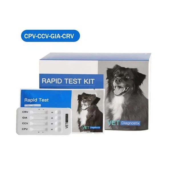 Köpek Parvo virüsü-Corona virüsü-giardia lamblia-rota virüsü antijen kombo testi 4