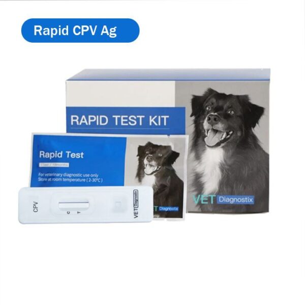 Köpek Parvo virüsü antijen testi 1