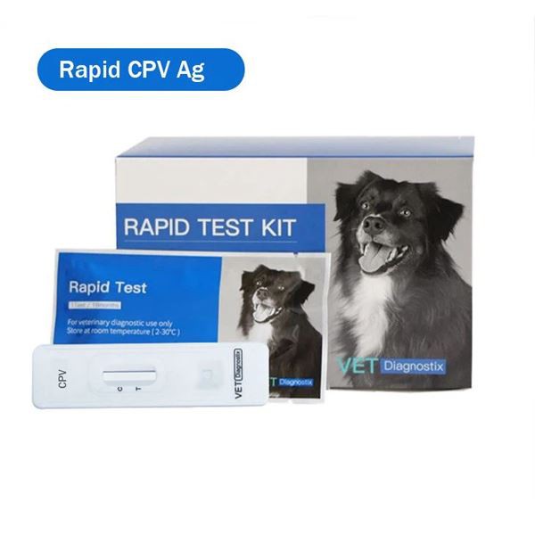 Köpek Parvo virüsü antijen testi