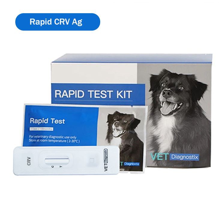 Köpek rotavirüs antijen testi 2